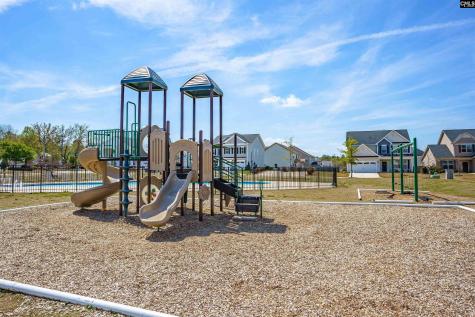 510 Palmerston Way Chapin SC 29036