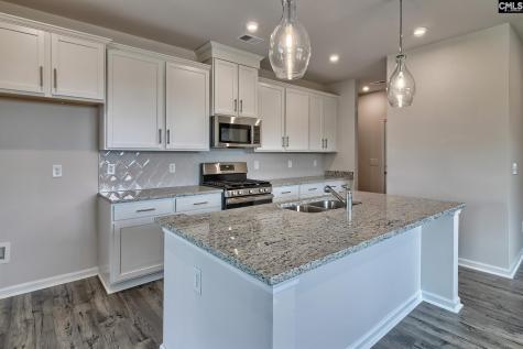 577 Swamp Grass Drive Columbia SC 29209