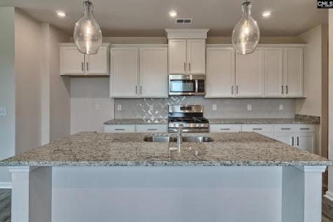 577 Swamp Grass Drive Columbia SC 29209