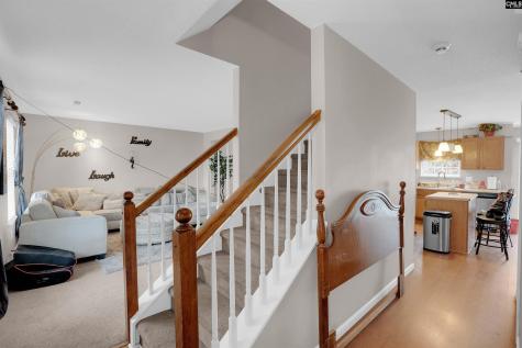 321 Concord Place Road Irmo SC 29063