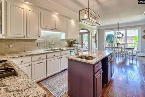 100 Birch Terrace Court Lexington SC 29072