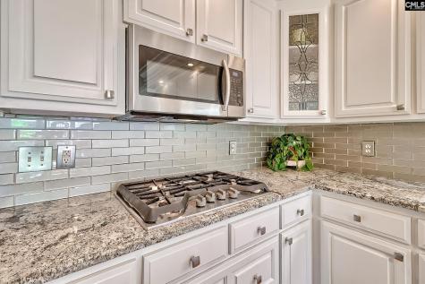100 Birch Terrace Court Lexington SC 29072