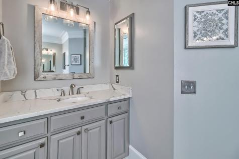 100 Birch Terrace Court Lexington SC 29072