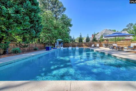 100 Birch Terrace Court Lexington SC 29072