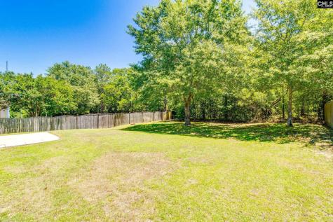 138 Fresh Spring Way Lexington SC 29072-7151