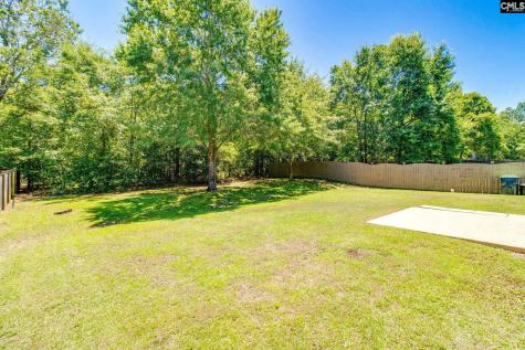 138 Fresh Spring Way Lexington SC 29072-7151