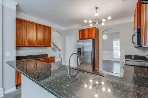 138 Fresh Spring Way Lexington SC 29072-7151