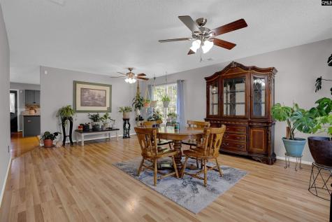 119 Silverberry Drive Lexington SC 29073