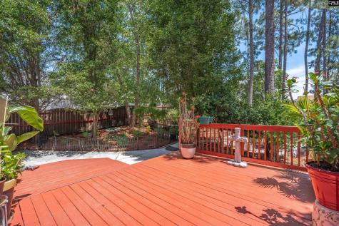 119 Silverberry Drive Lexington SC 29073