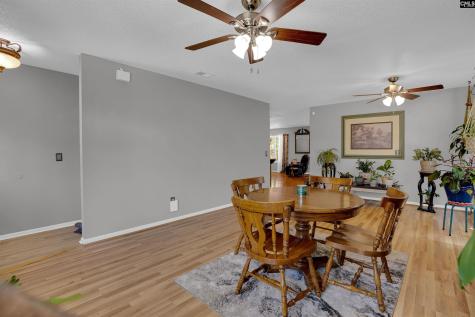 119 Silverberry Drive Lexington SC 29073