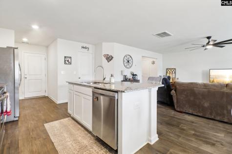 247 Chetsley Drive Lexington SC 29073