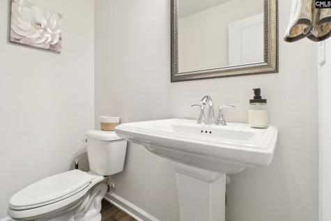 247 Chetsley Drive Lexington SC 29073