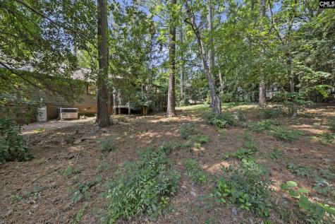 1608 Shortstream Road Columbia SC 29212