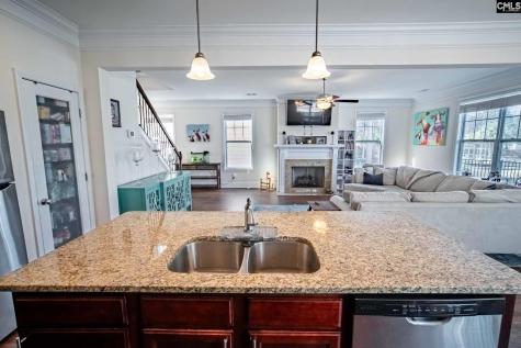 213 Sunset Point Drive Lexington SC 29072