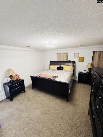268 Foxport Drive Chapin SC 29036-7551