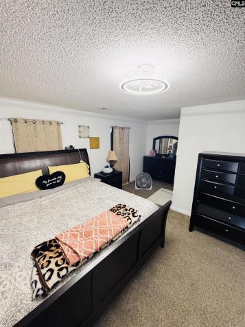 268 Foxport Drive Chapin SC 29036-7551