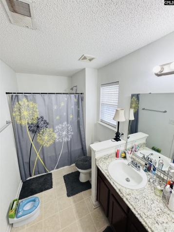 268 Foxport Drive Chapin SC 29036-7551