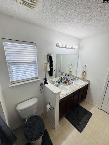 268 Foxport Drive Chapin SC 29036-7551