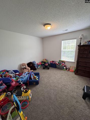 268 Foxport Drive Chapin SC 29036-7551