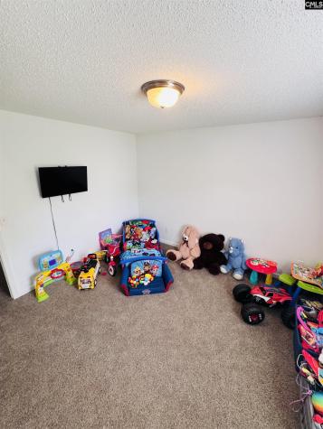 268 Foxport Drive Chapin SC 29036-7551