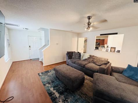 268 Foxport Drive Chapin SC 29036-7551