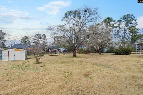 110 Wembley Street Columbia SC 29209