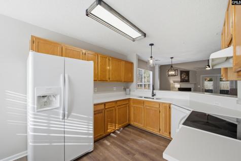 113 Huntington Circle Lexington SC 29072
