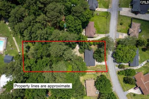 132 Fairlawn Court Columbia SC 29203