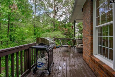 150 Hickory Meadow Lexington SC 29072