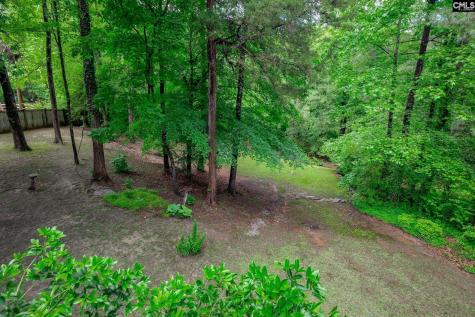 150 Hickory Meadow Lexington SC 29072