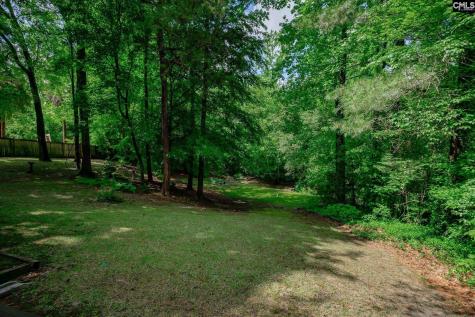 150 Hickory Meadow Lexington SC 29072