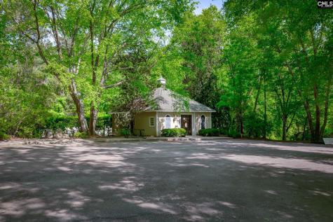 150 Hickory Meadow Lexington SC 29072