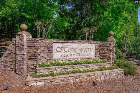150 Hickory Meadow Lexington SC 29072