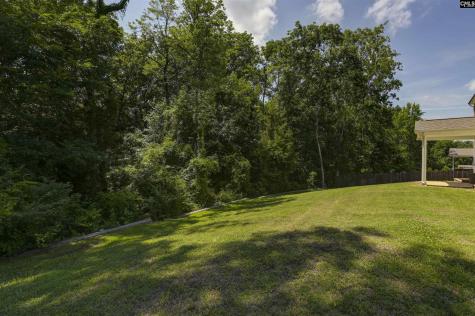 582 Stone Hollow Drive Irmo SC 29063