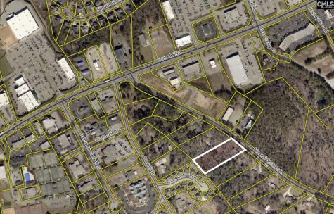 2450 Mineral Springs Road Lexington SC 29072