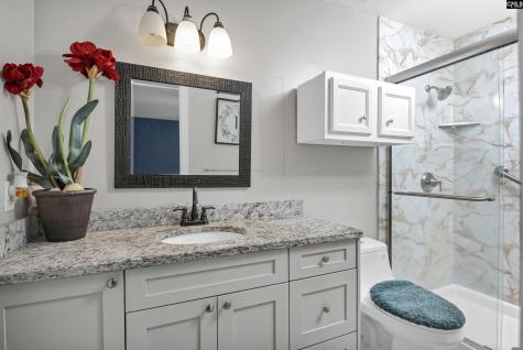 209 Sommerset Drive Columbia SC 29223