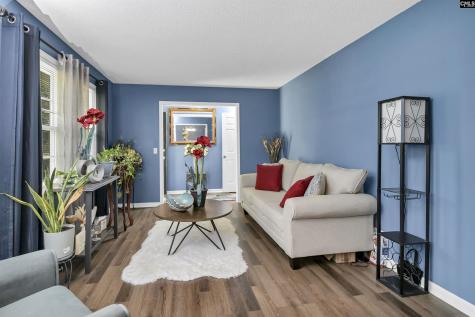 209 Sommerset Drive Columbia SC 29223