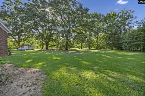 1015 Scurry Lane Saluda SC 29138-0000