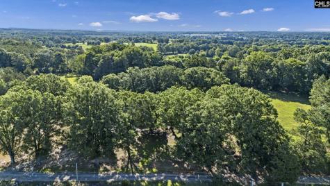 1015 Scurry Lane Saluda SC 29138-0000