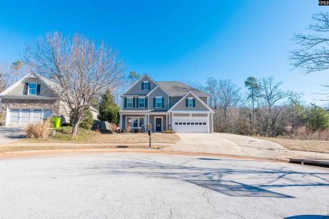 773 Saxony Drive Irmo SC 29063