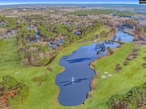 383 Summersweet Court Blythewood SC 29016