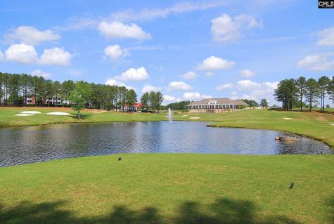 383 Summersweet Court Blythewood SC 29016