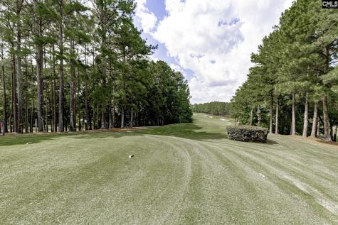 383 Summersweet Court Blythewood SC 29016