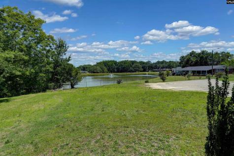 303 Nell Street Batesburg SC 29006