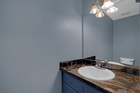 231 Cinnamon Hills Lane Lexington SC 29072