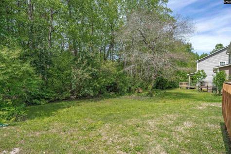 231 Cinnamon Hills Lane Lexington SC 29072
