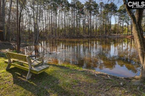 162 Baskin Hills Road Lexington SC 29072