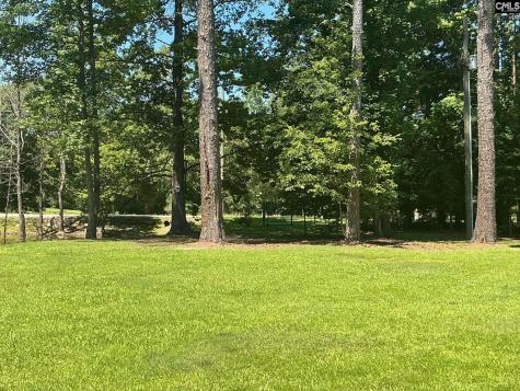 162 Baskin Hills Road Lexington SC 29072