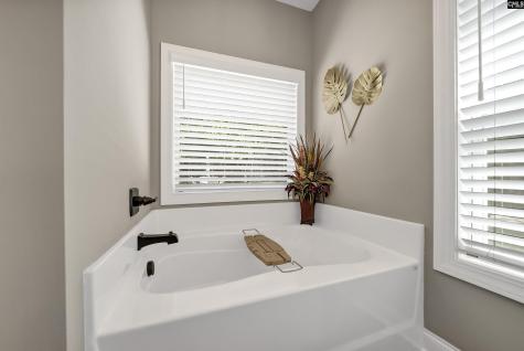 1617 Deep Cove Lane Gilbert SC 29054