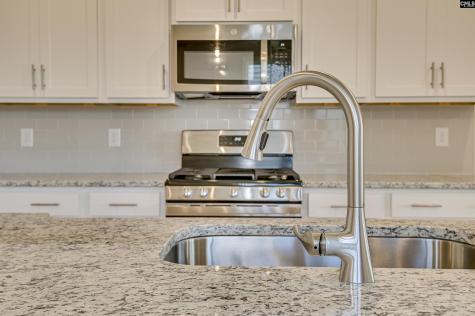 718 Miller Tree Way Elgin SC 29045